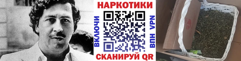 Где купить наркоту Сургут Альфа ПВП  Конопля  Меф  ГАШИШ  АМФЕТАМИН  Кокаин 