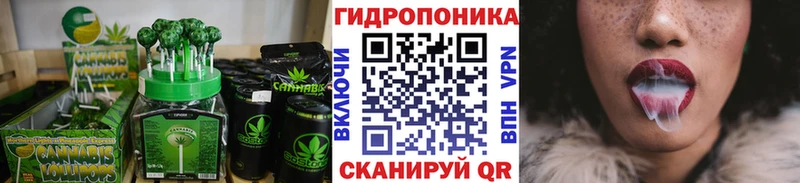 Canna-Cookies конопля  наркота  Сургут 