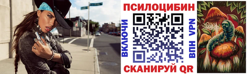 Галлюциногенные грибы Cubensis гидра tor Сургут