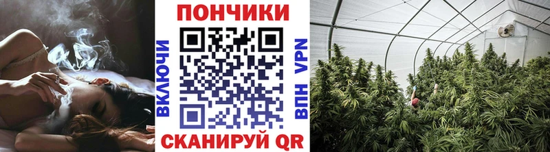 omg как войти  наркошоп  Сургут  МАРИХУАНА AK-47 